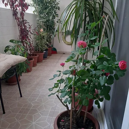 דירה Sofia's Modern *