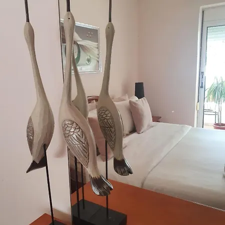 Sofia's Modern Gjirokaster