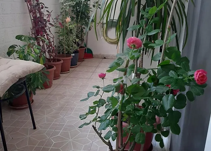 Appartamento Sofia's Modern *